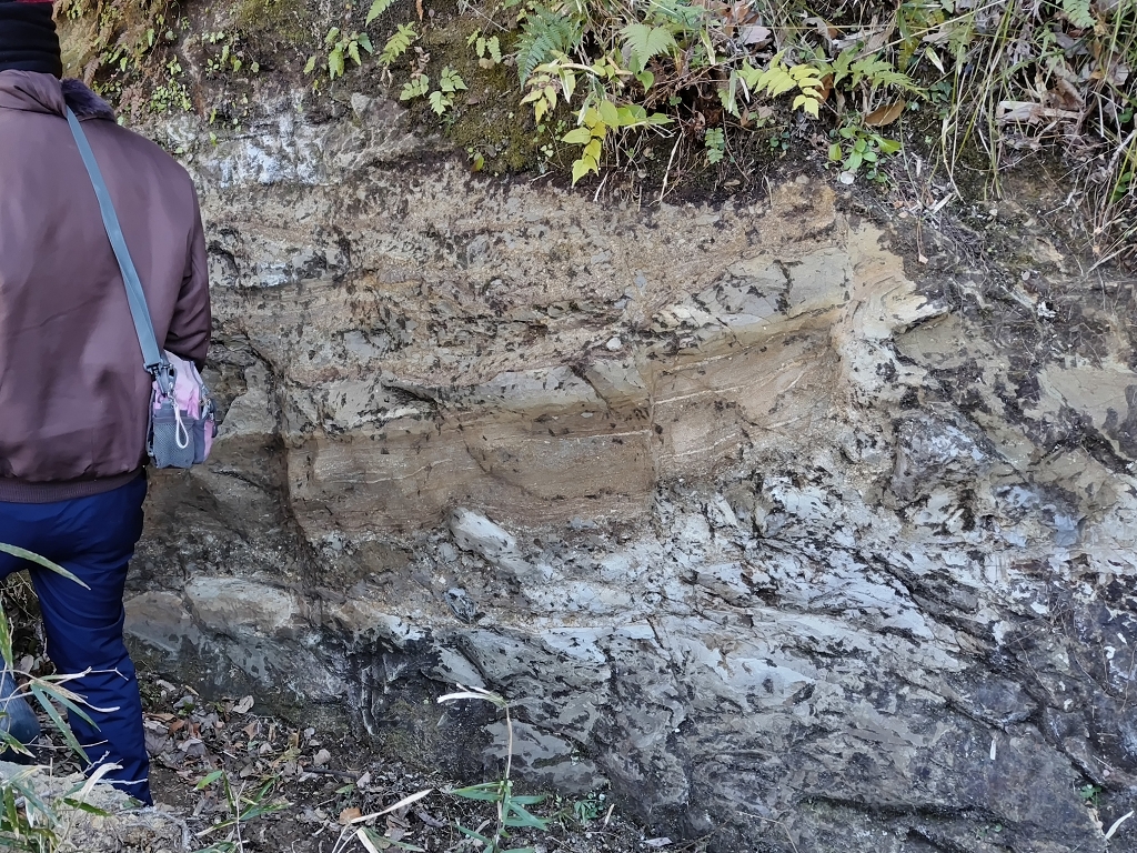 神武寺火砕岩泥岩部層 海底地すべり