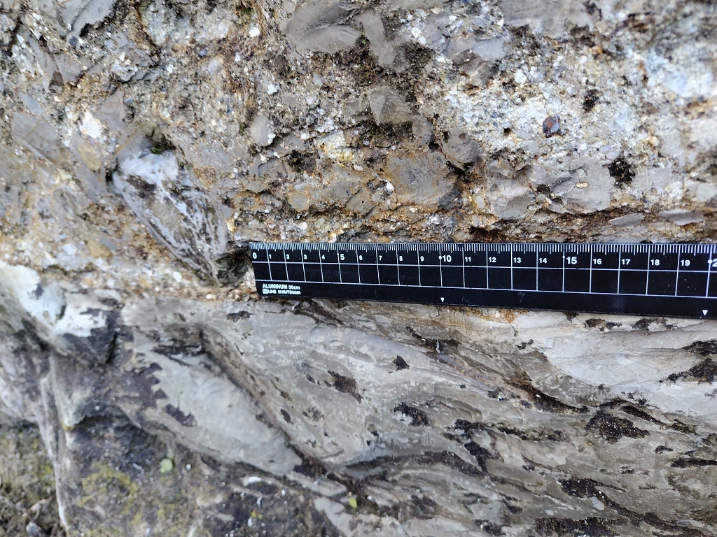 神武寺火砕岩泥岩部層 海底地すべり