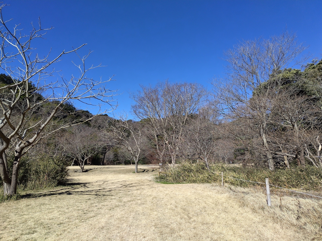 池子の森自然公園