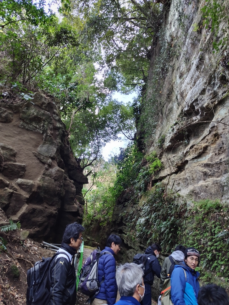 朝比奈切通し 朝夷奈切通
