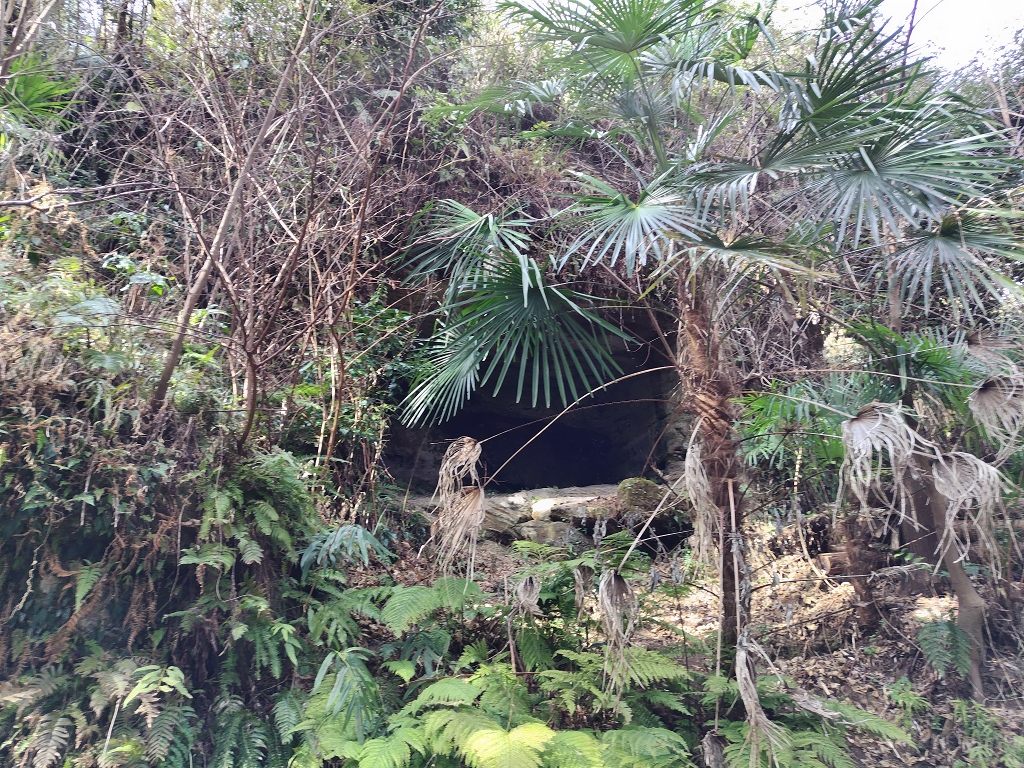 朝比奈切通し 朝夷奈切通 やぐら