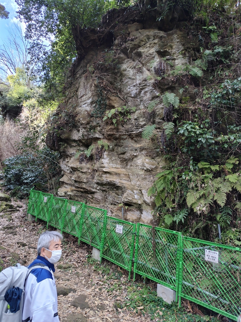朝比奈切通し 朝夷奈切通 浦郷層 斜交葉理