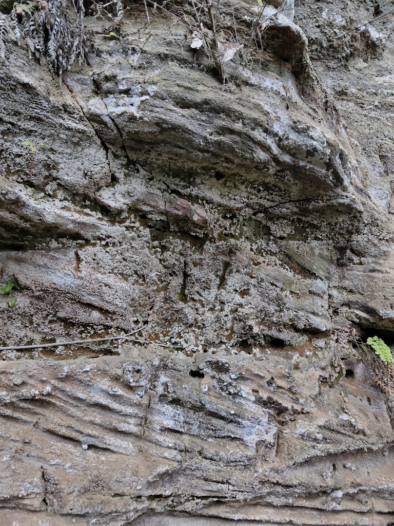 朝比奈切通し 朝夷奈切通 浦郷層 斜交葉理