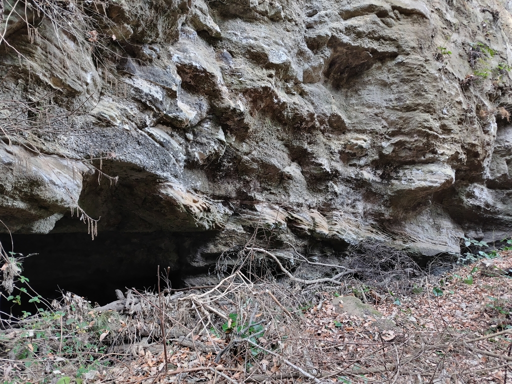 朝比奈切通し 朝夷奈切通 やぐら 浦郷層 斜交葉理
