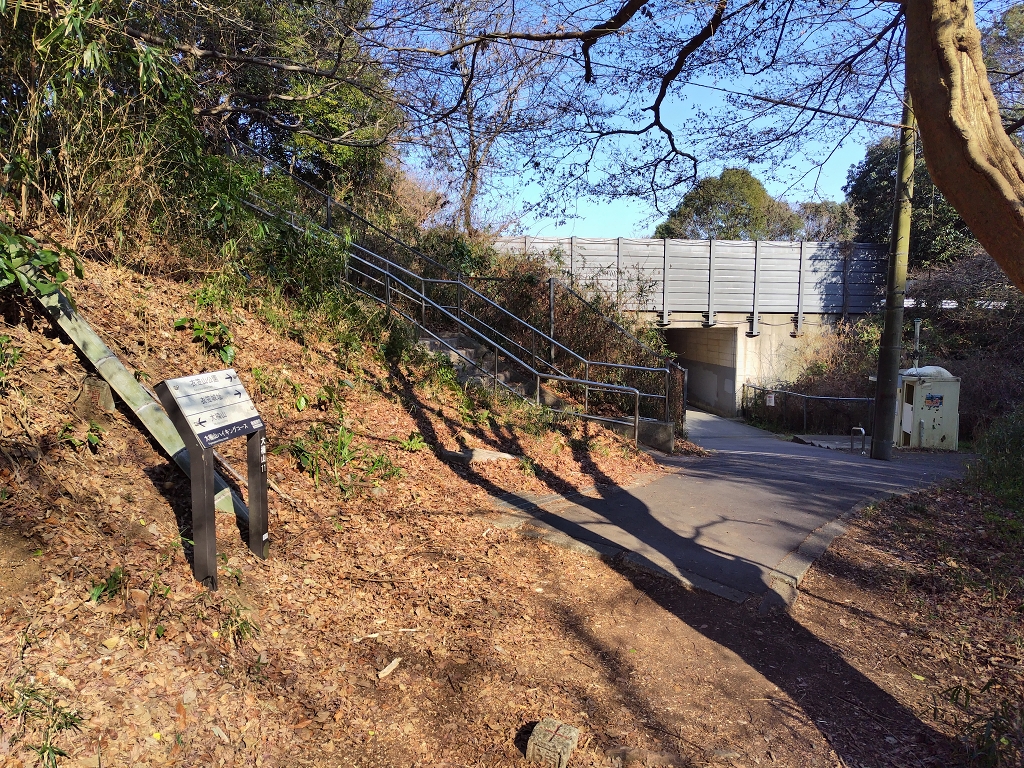 大楠山阿部倉登山口