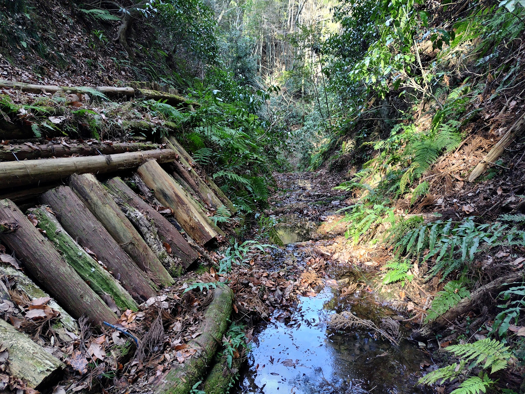 阿部倉 凝灰岩鍵層Ok