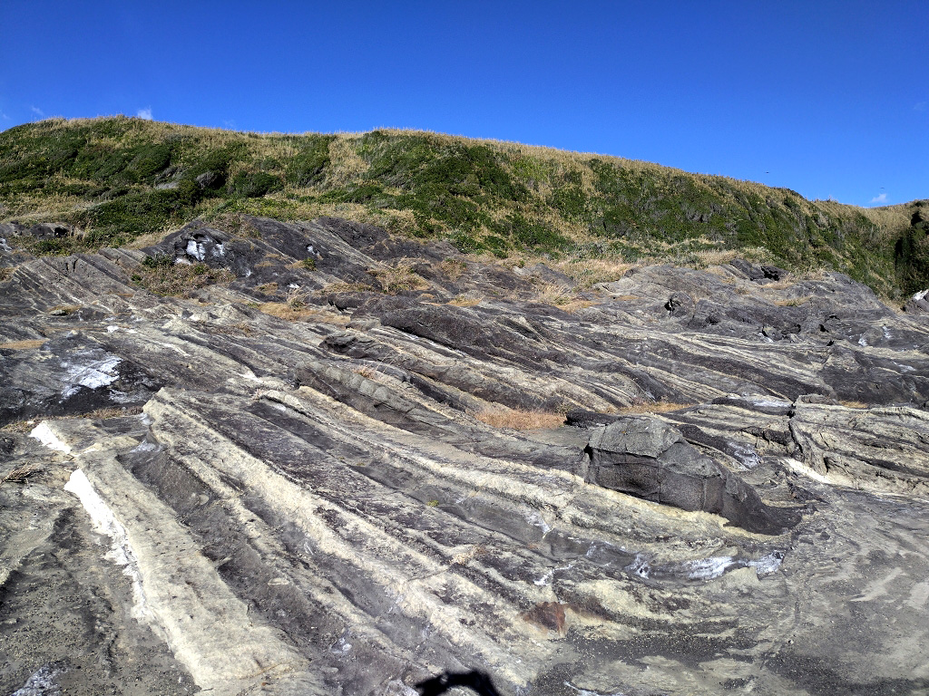 城ヶ島 テフラ 断層