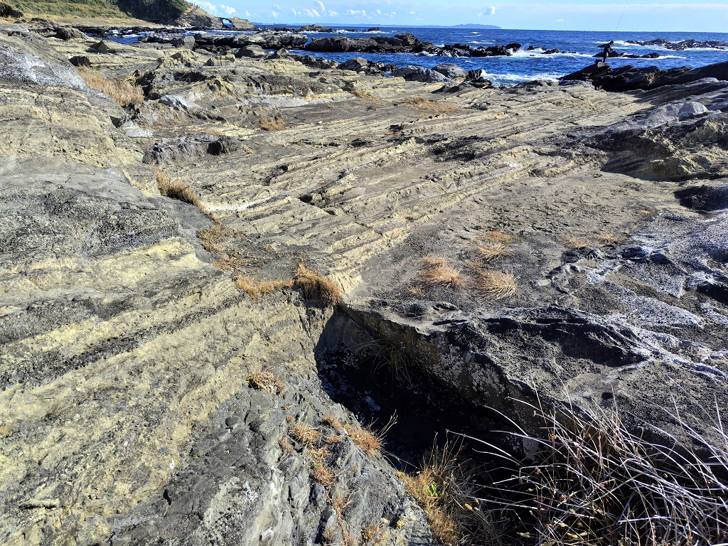 城ヶ島 テフラ 断層