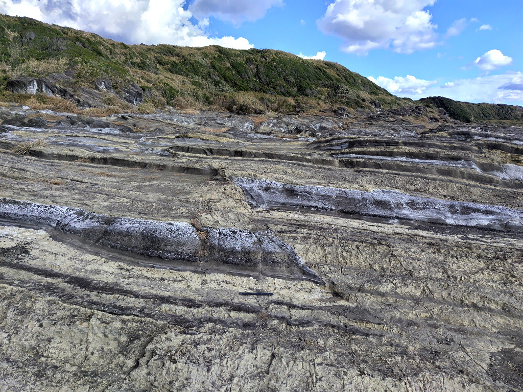 城ヶ島 テフラ 断層