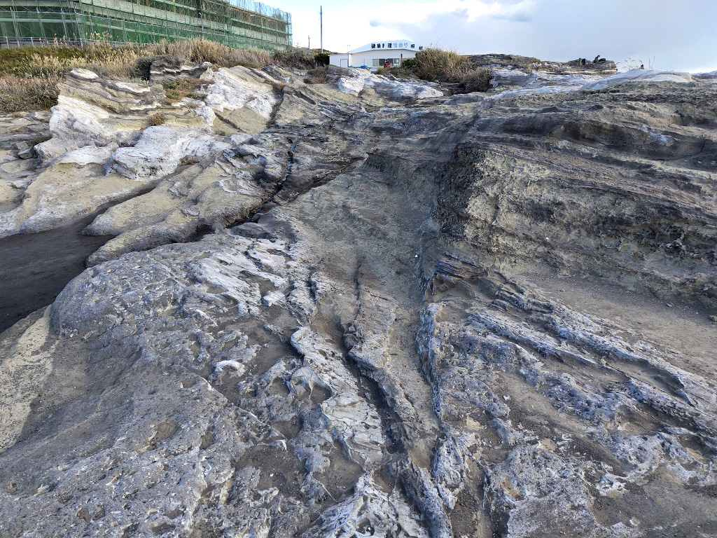 城ヶ島 テフラ 断層