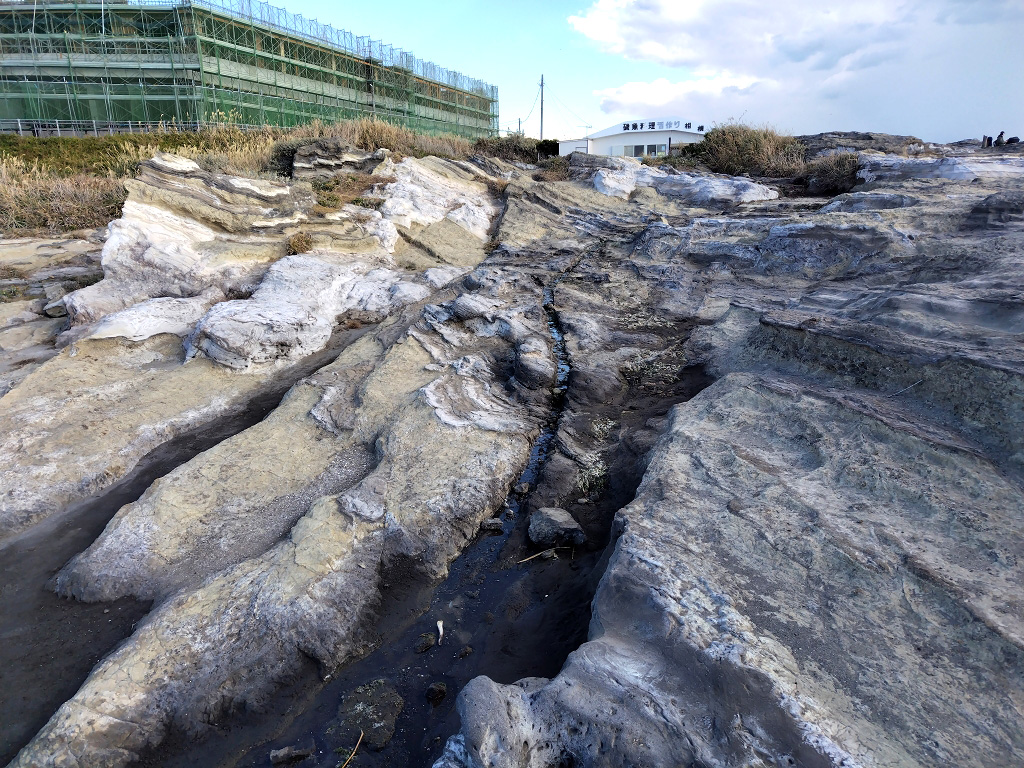 城ヶ島 テフラ 断層