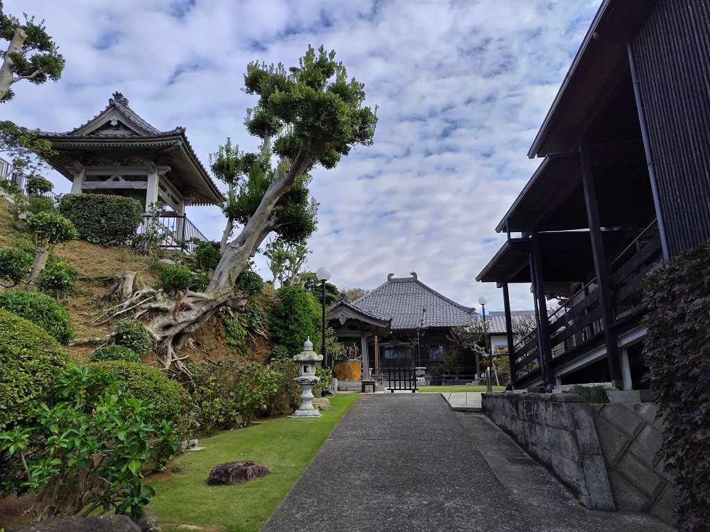 色づいた柿の落ち葉