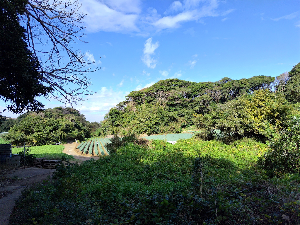 砂丘 雨崎古墳群