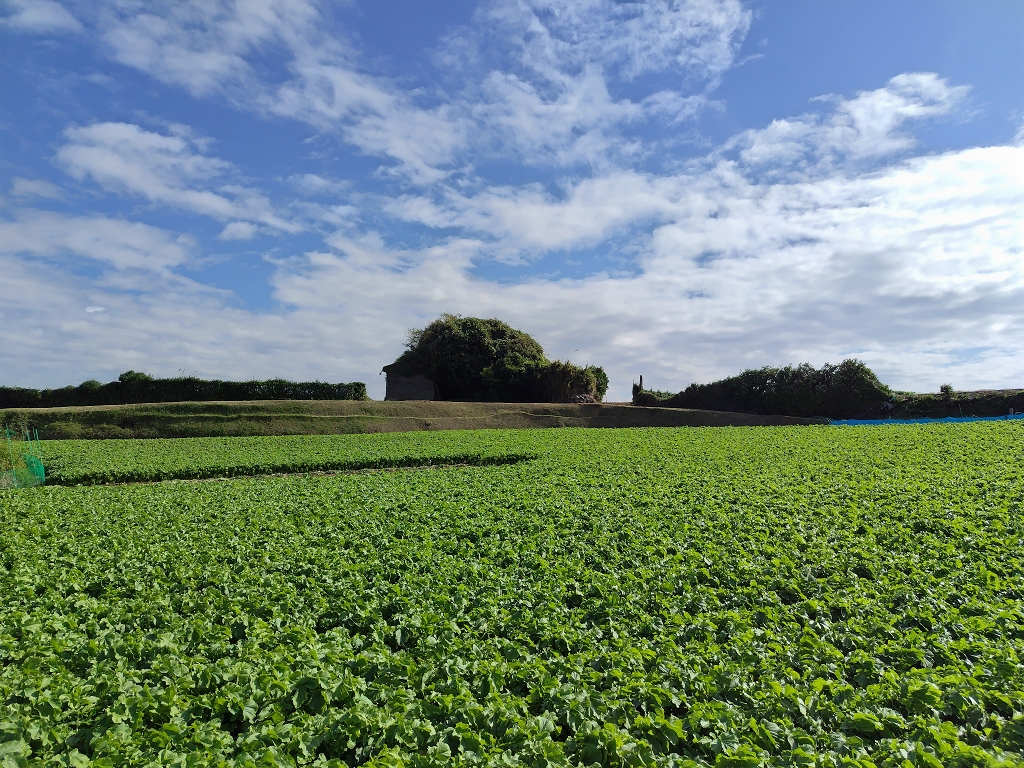 大浦探照灯格納庫
