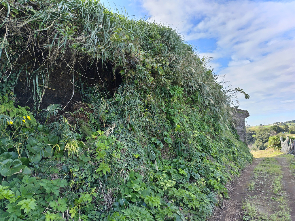 大浦探照灯格納庫