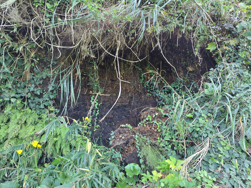 大浦探照灯格納庫