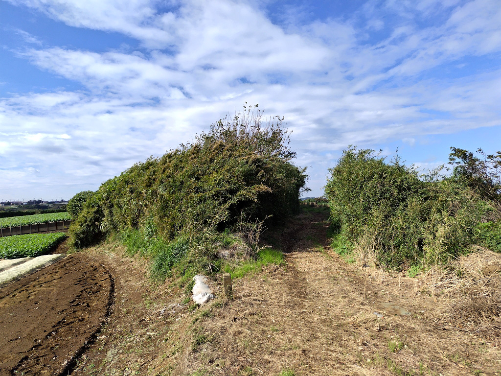 大浦探照灯格納庫